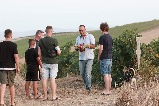 Wine Tour in the historic Baglio Florio Adamo with Lunch - Timing, weather, and cancellation details