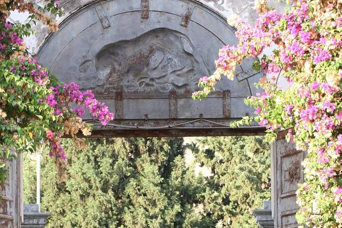 Wine Tour in the historic Baglio Florio Adamo with Lunch - Tasting Adamo Bio wine and estate olive oil