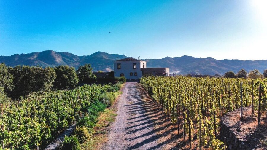 Wine tour with wine tasting - Key points to know before you go