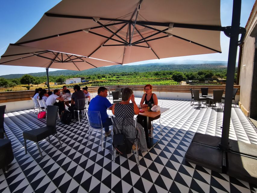 Wine tour with wine tasting - Timing, meeting point, and the small details