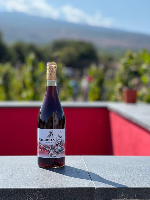 Wine tour with wine tasting - The old palmento and Etna’s wine-making tradition