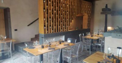 Wine tour with wine tasting
