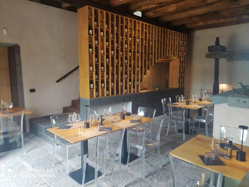 Wine tour with wine tasting - Four wines with a sommelier at the table