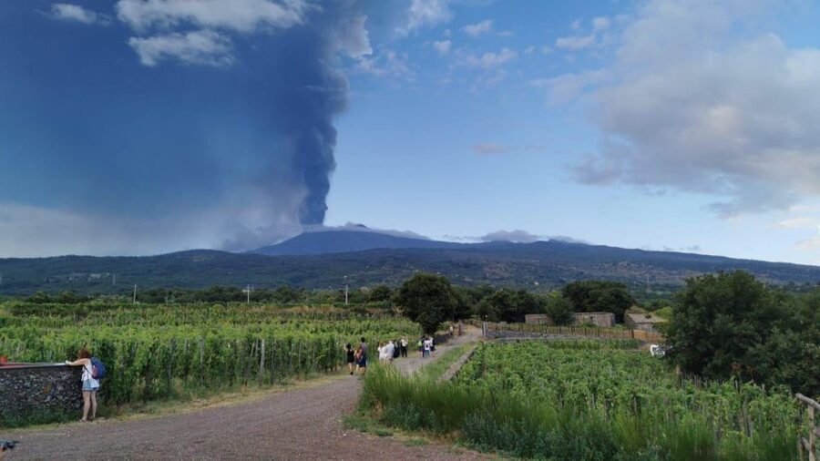 Wine tour with wine tasting - Is 100 minutes enough?