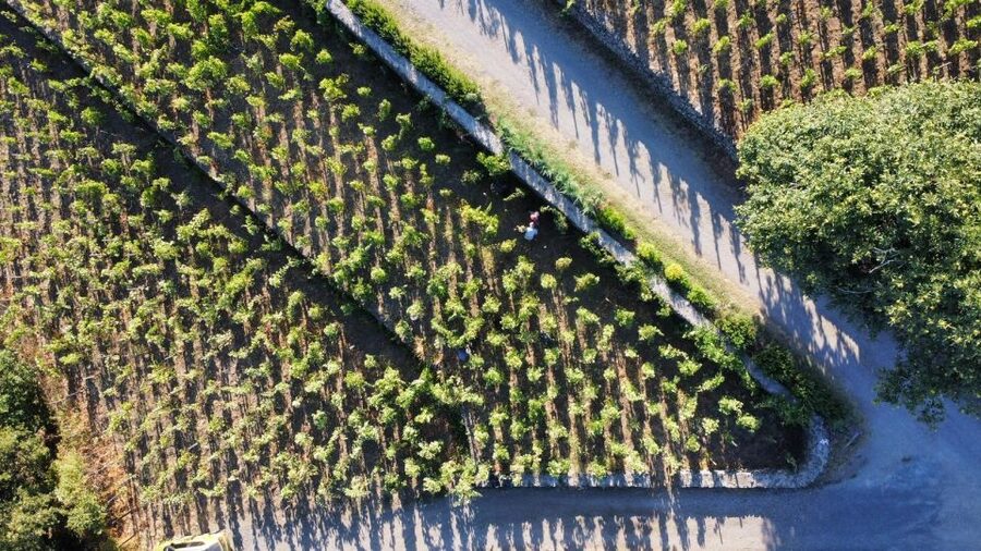 Wine tour with wine tasting - Who will get the most from this visit?