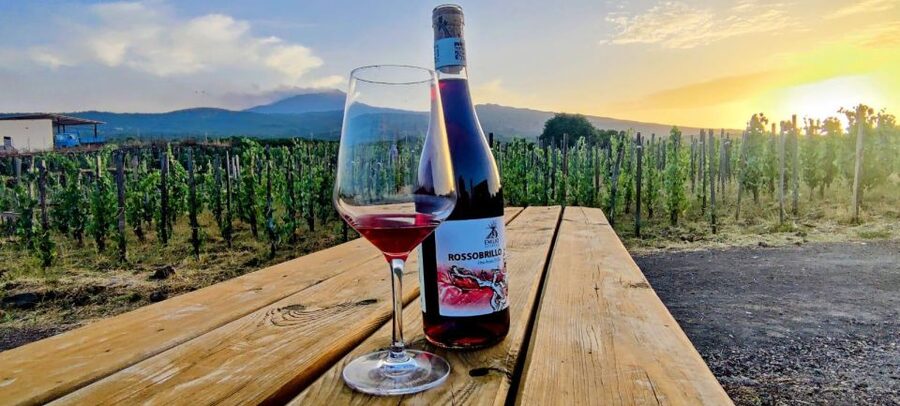 Wine tour with wine tasting - Practical value at $34 per person