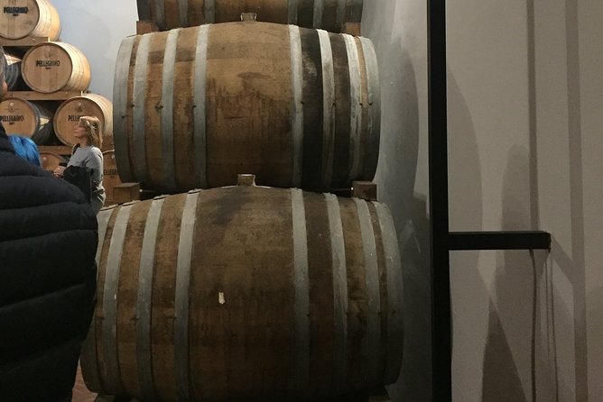Winery tasting in Marsala and Mothia lagoon tour - By flat-keel boat through the Stagnone lagoon