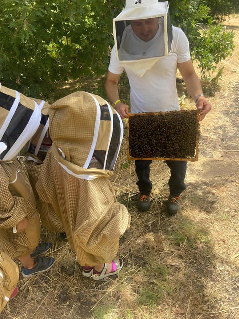 Zafferana Etnea:Honey extraction workshop and honey tasting - Putting on the jacket for the hive visit