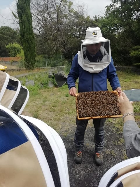 Zafferana Etnea:Honey extraction workshop and honey tasting - Why the small group size helps